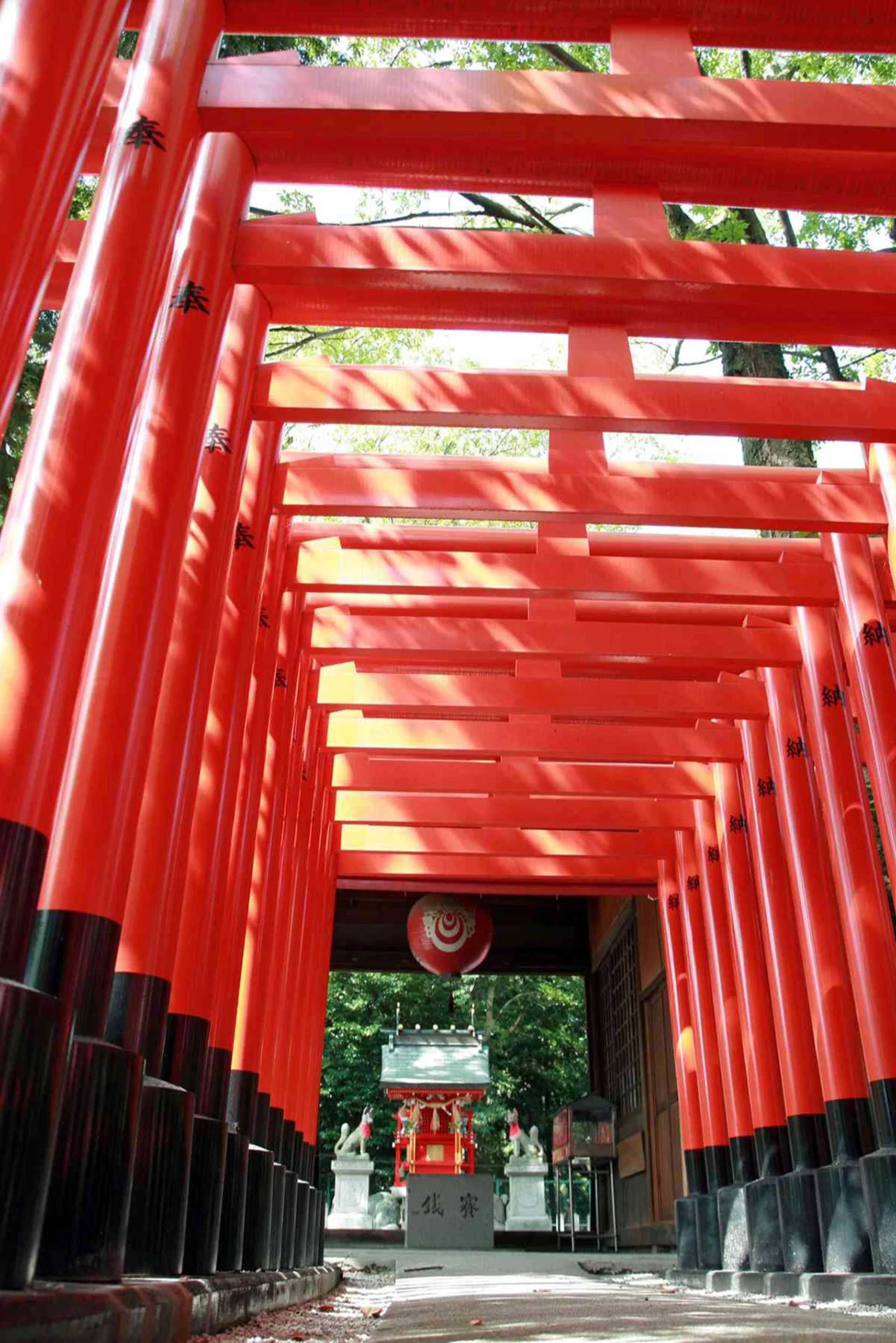 フォトスポット豊富な赤鳥居の社