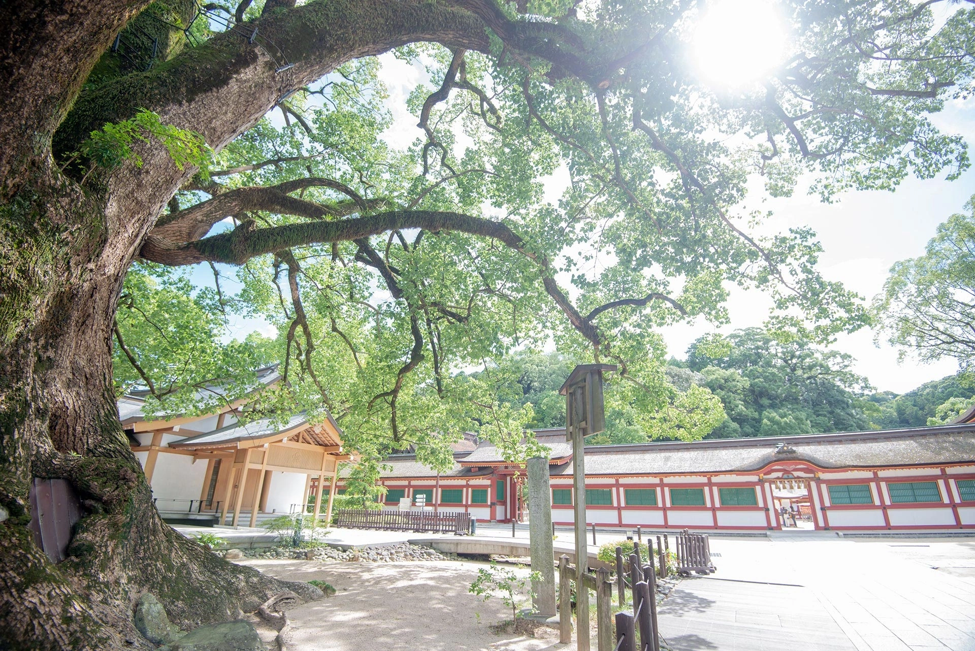 四季折々の花樹が彩る写真スポット