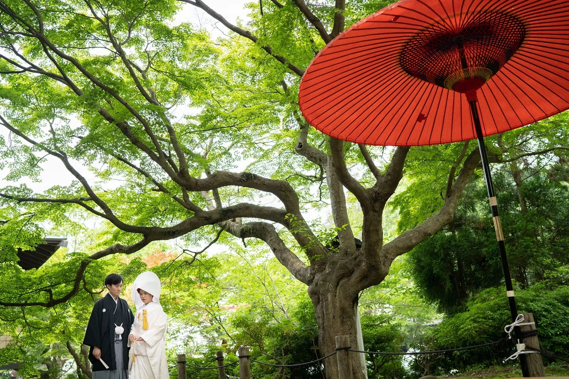 四季折々の自然に囲まれた撮影空間