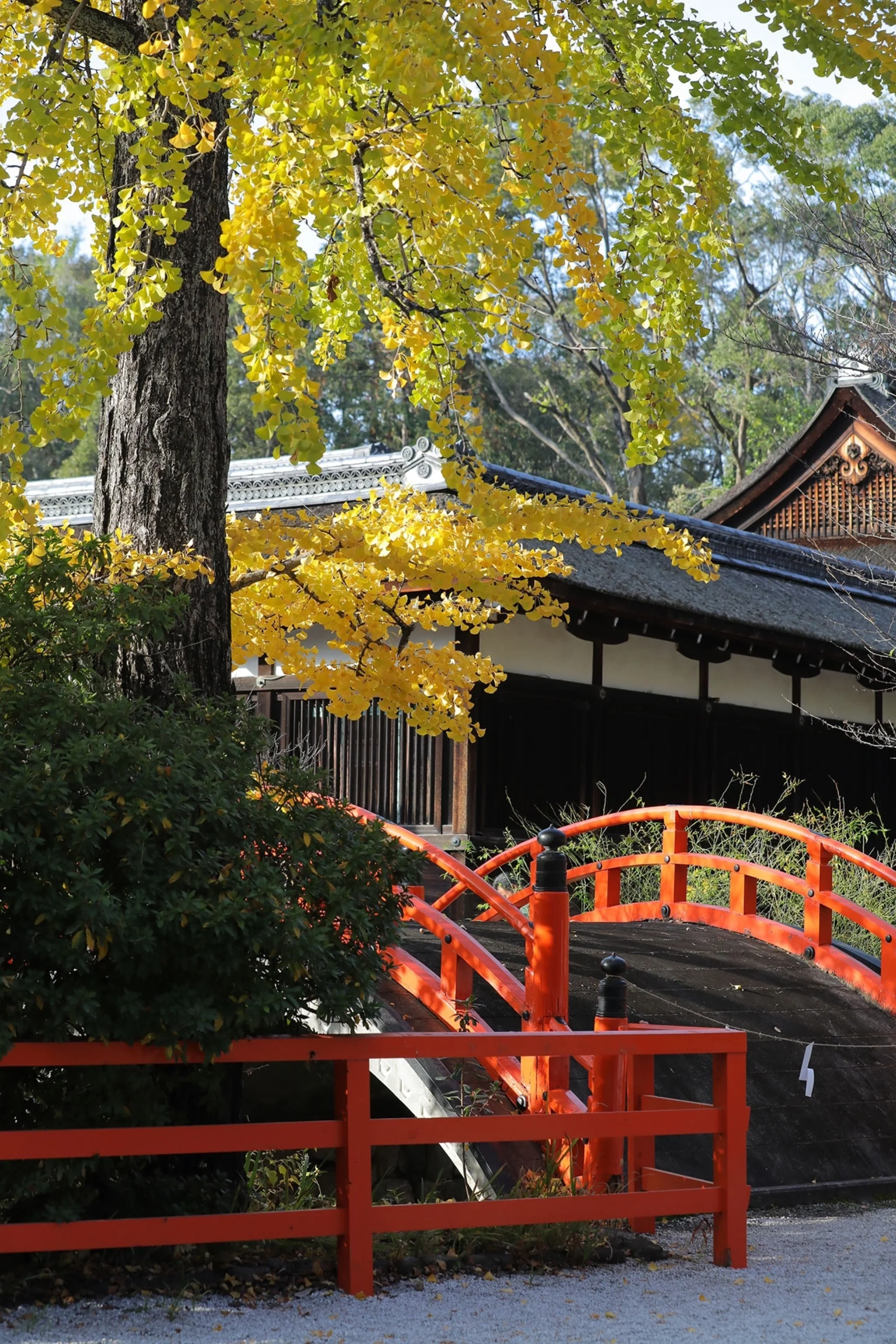 京都市内からアクセス至便な神社