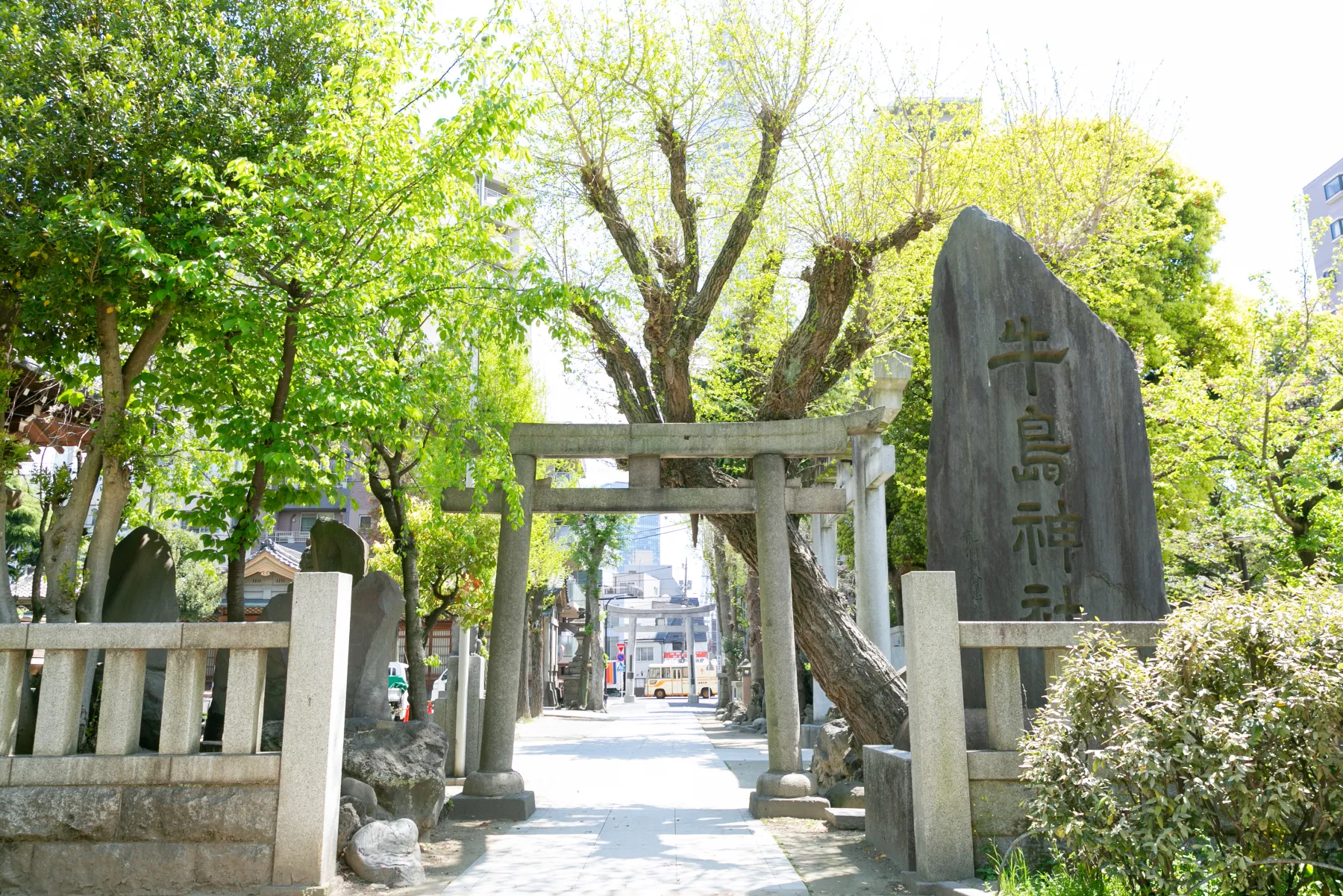 都会の喧騒を忘れる緑豊かな癒しの空間