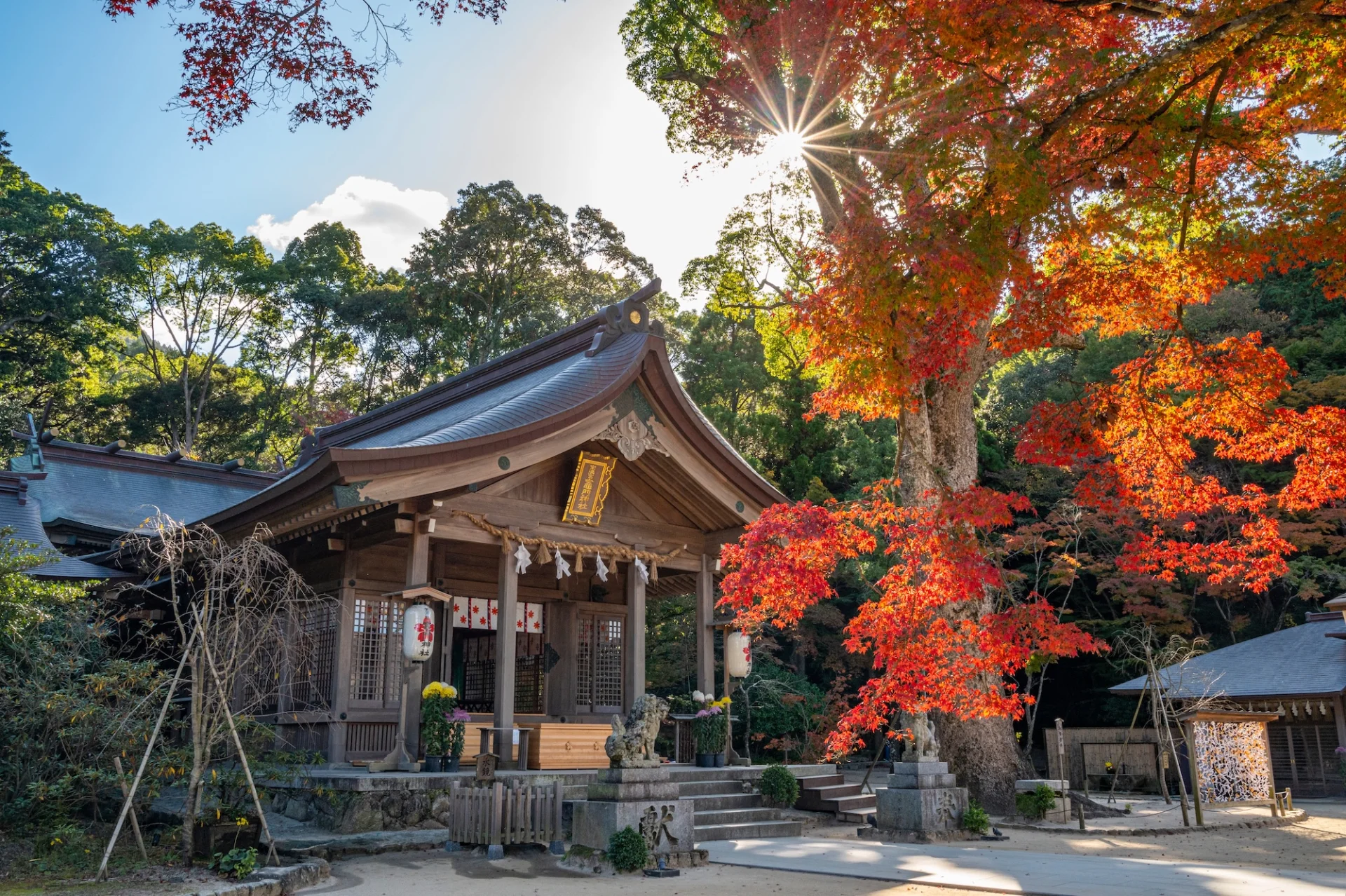 宝満宮 竈門神社_（＠和婚スタイル）