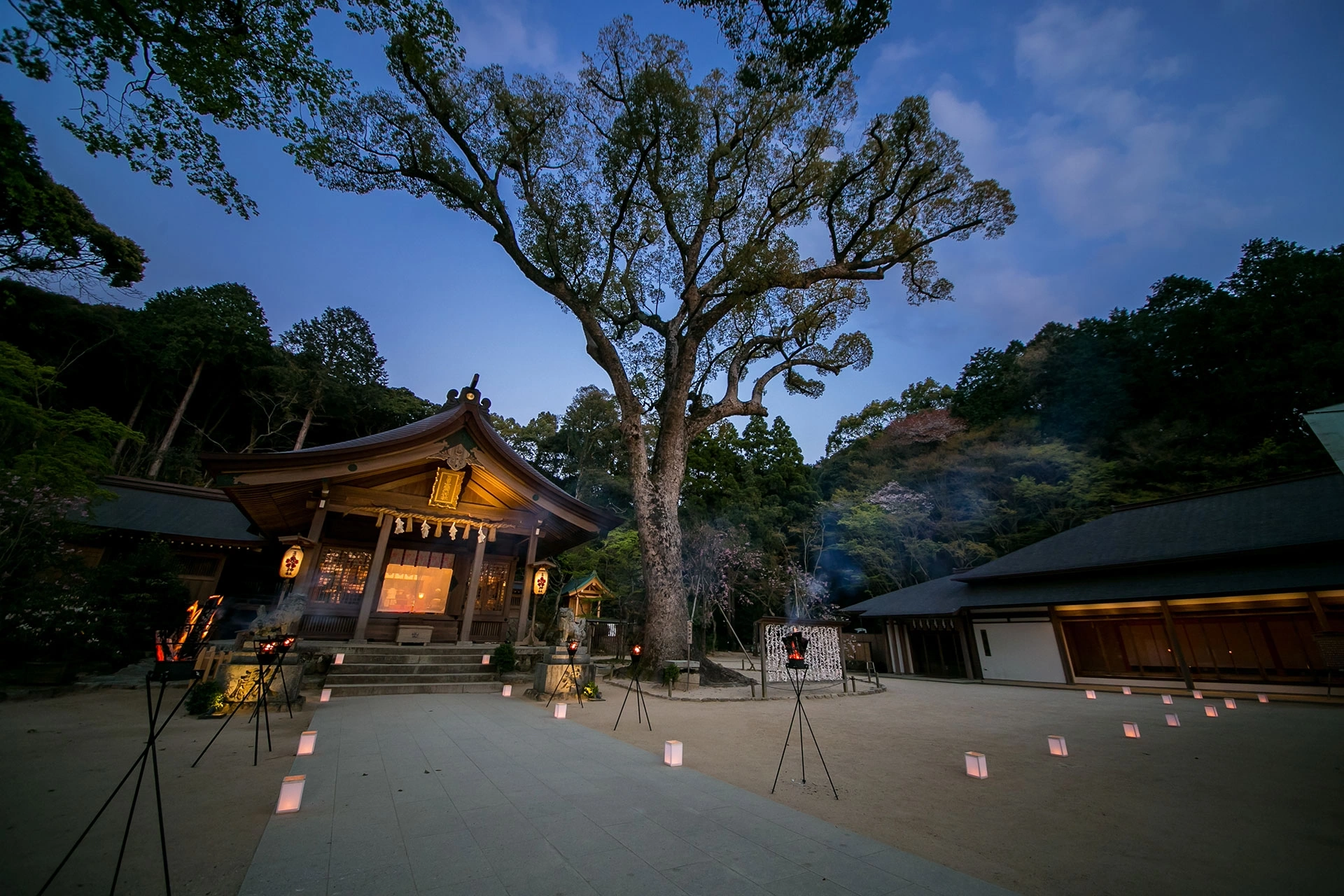 宝満宮 竈門神社_（＠和婚スタイル）