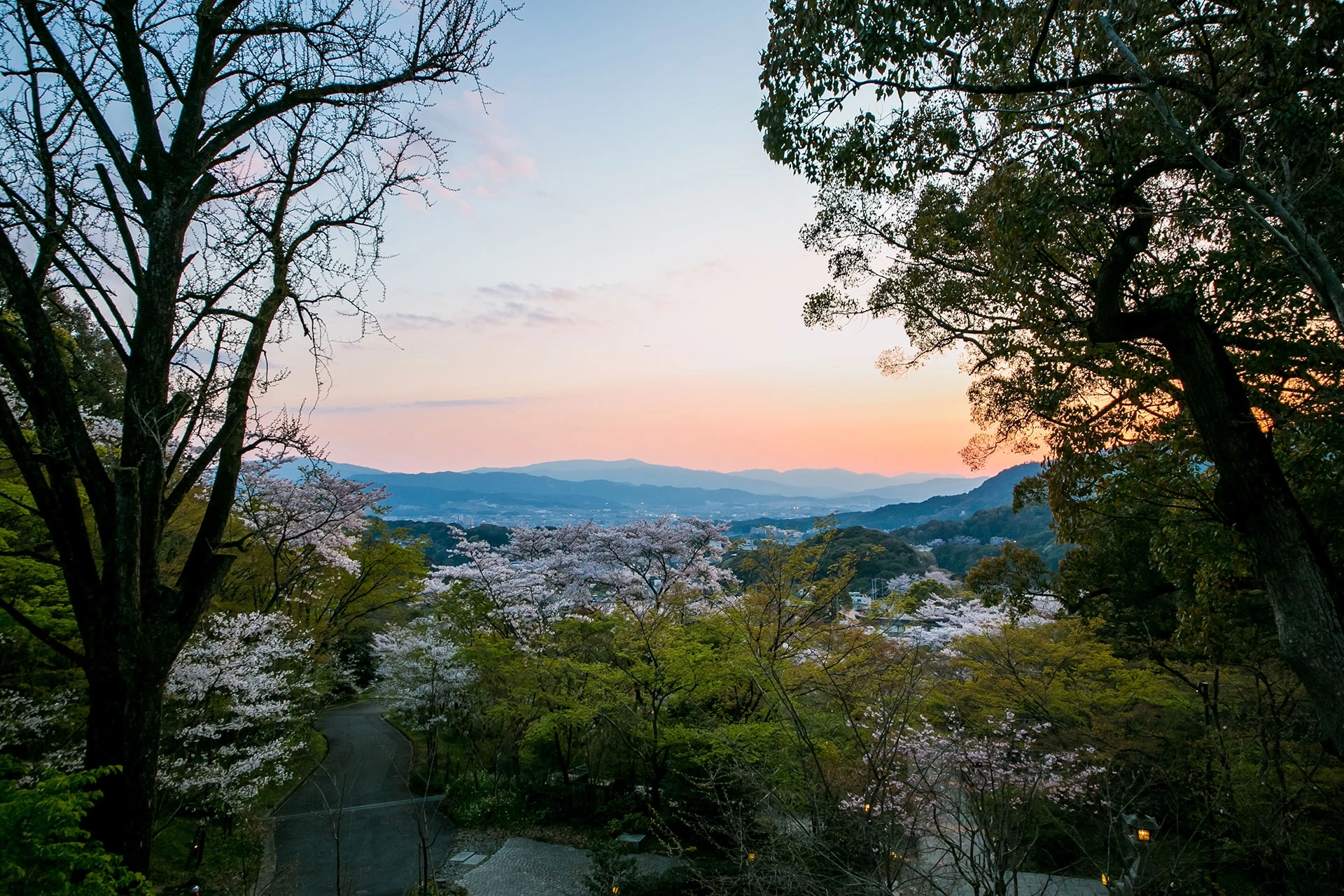 宝満宮 竈門神社_（＠和婚スタイル）