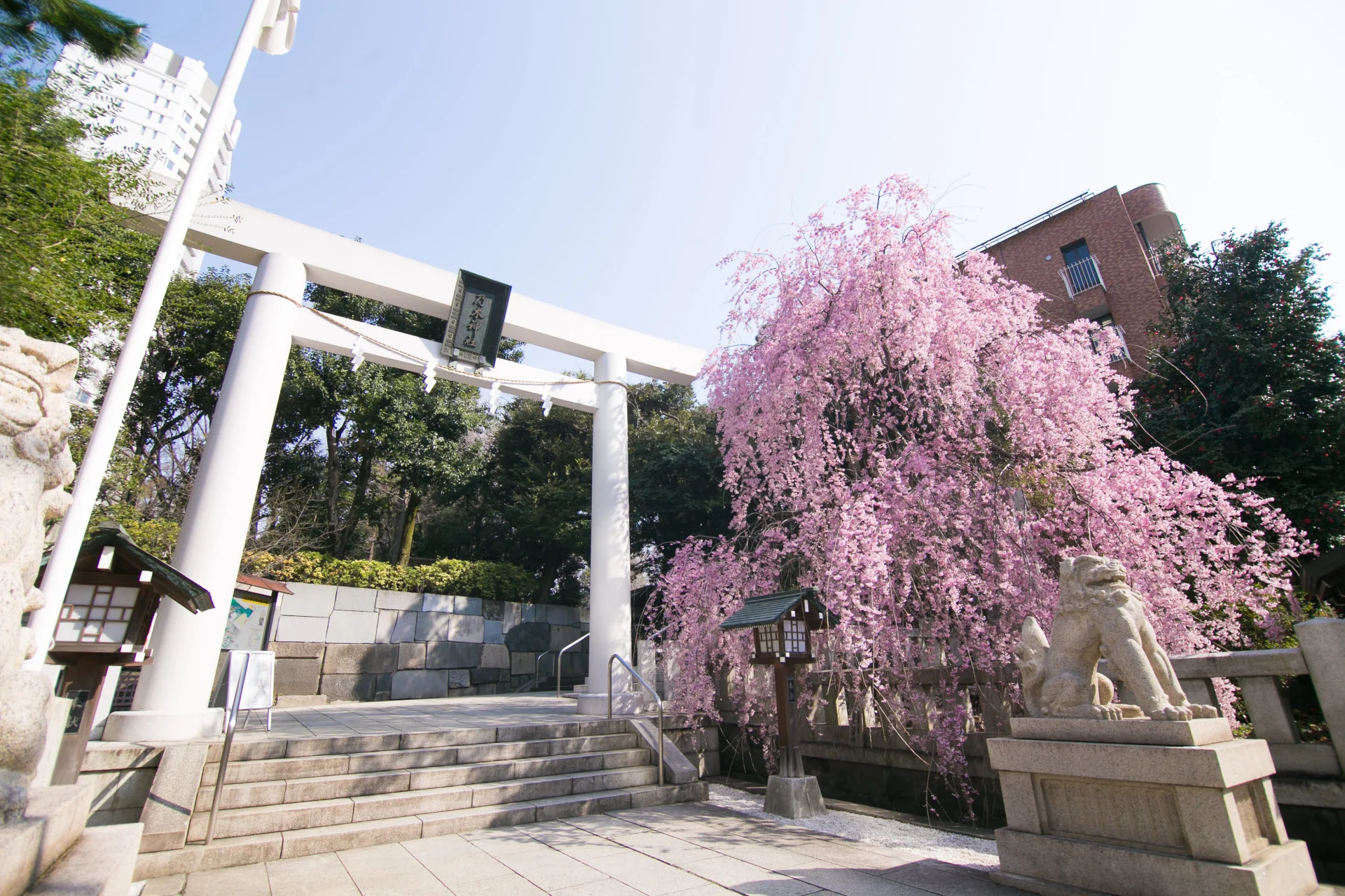 乃木神社_（＠和婚スタイル）