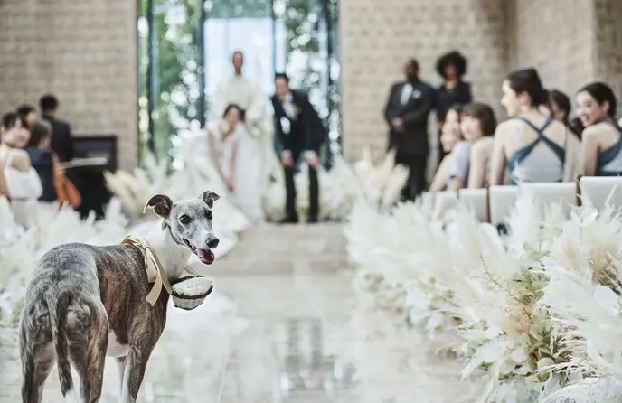 キンプトン新宿東京