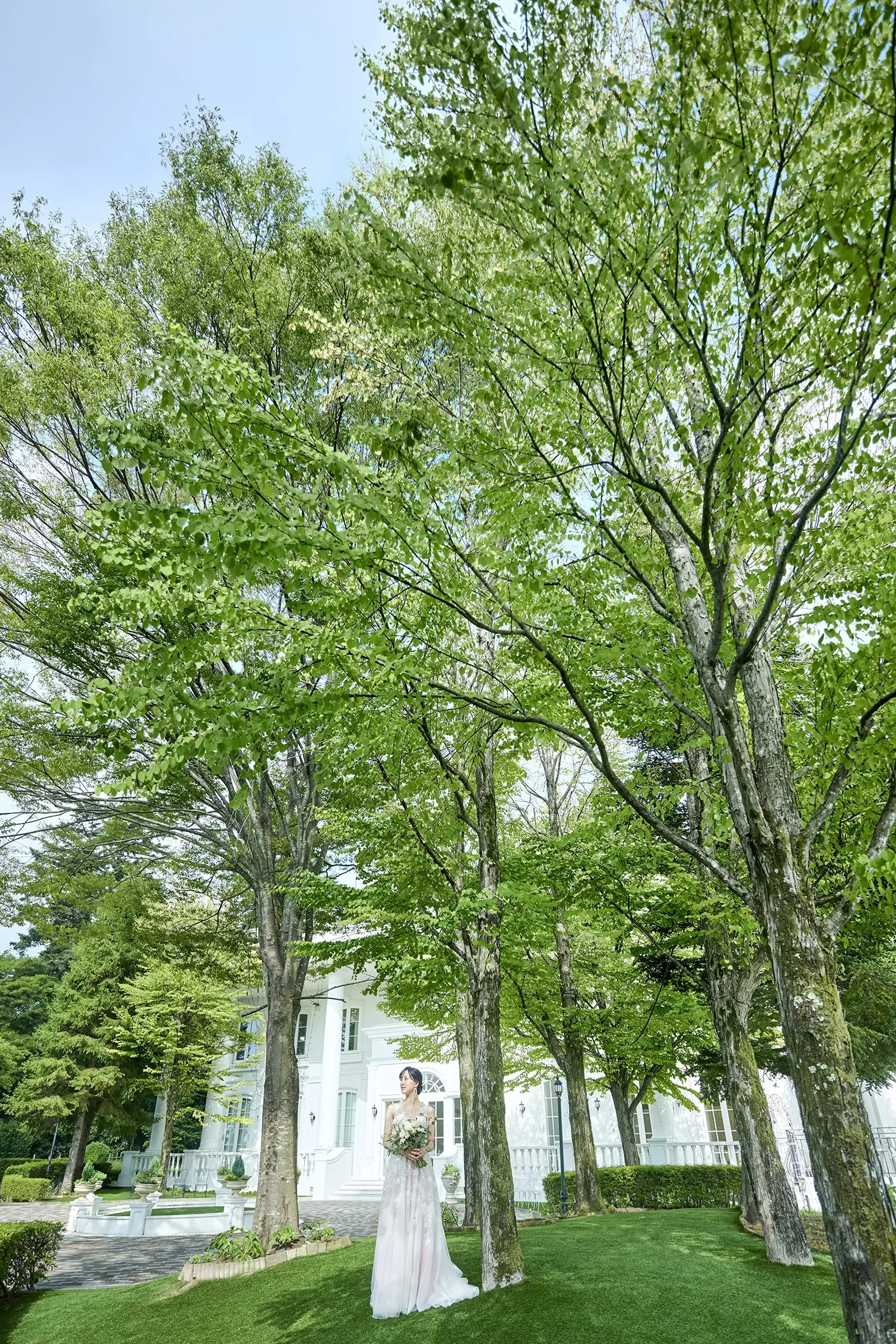 本物の森に抱かれる　緑溢れる空間