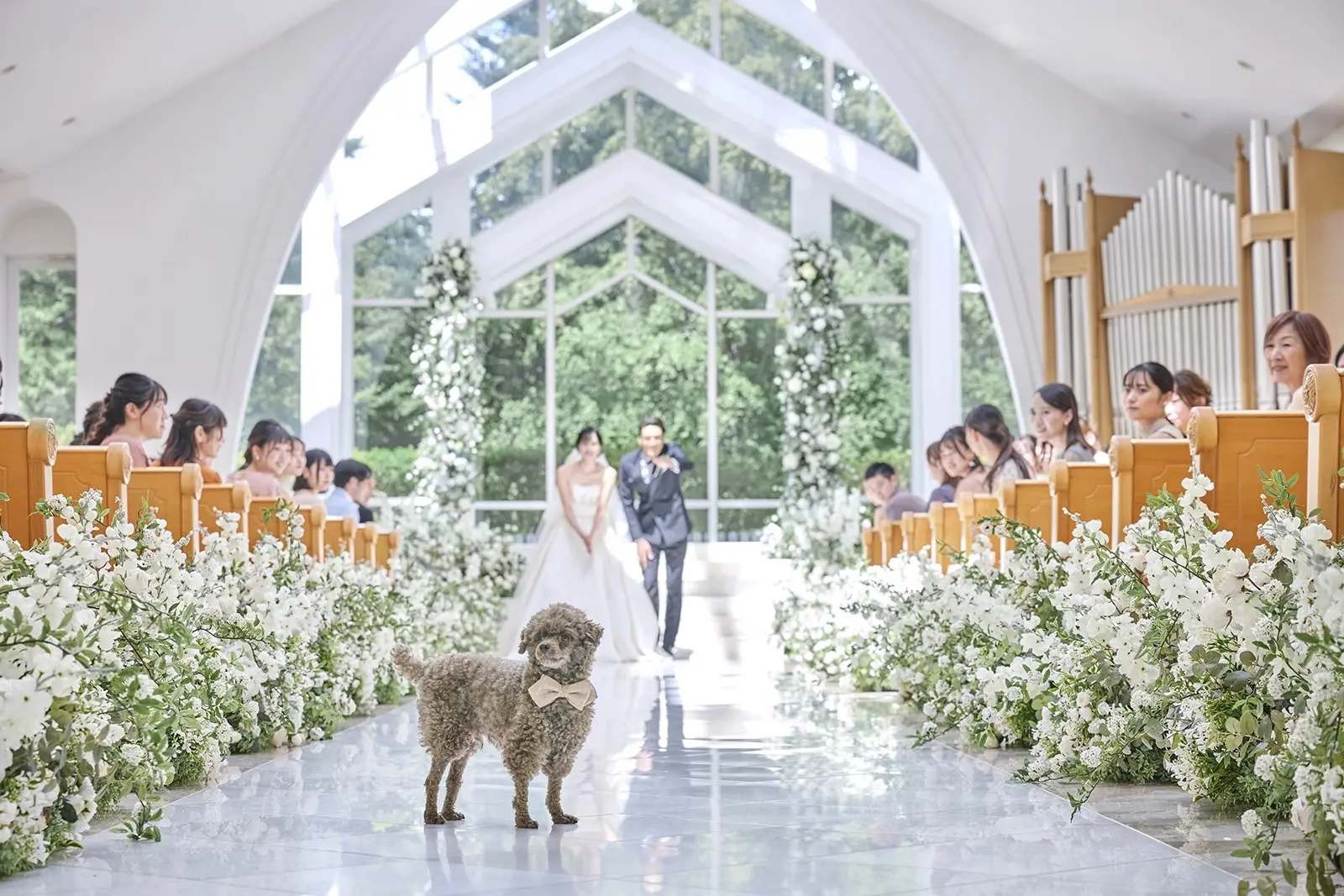 愛犬と一緒に叶えるウェディングも大人気♪