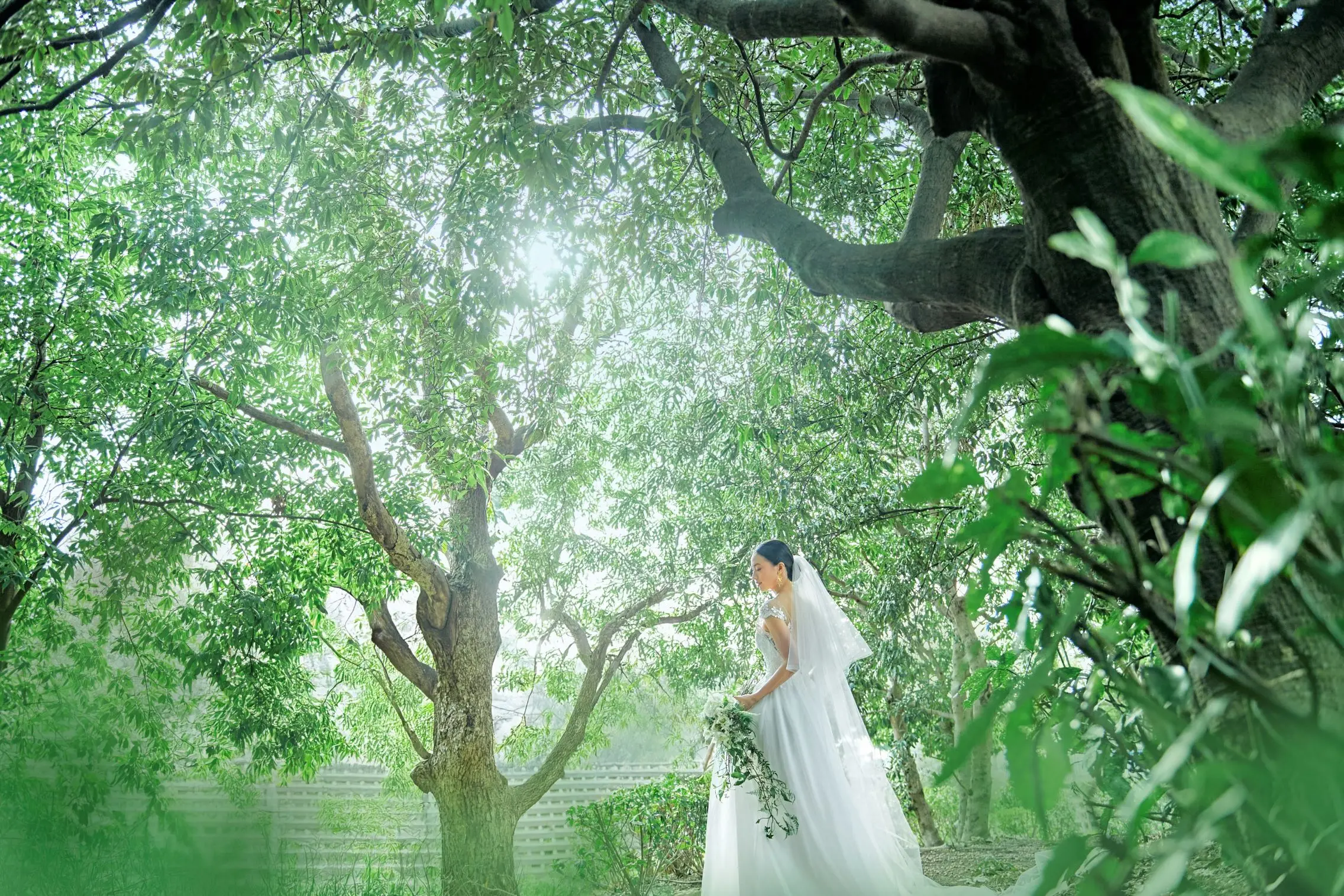 【光に包まれるアットホームWedding】自然あふれる中でゲストと心あたたまるアットホームな挙式