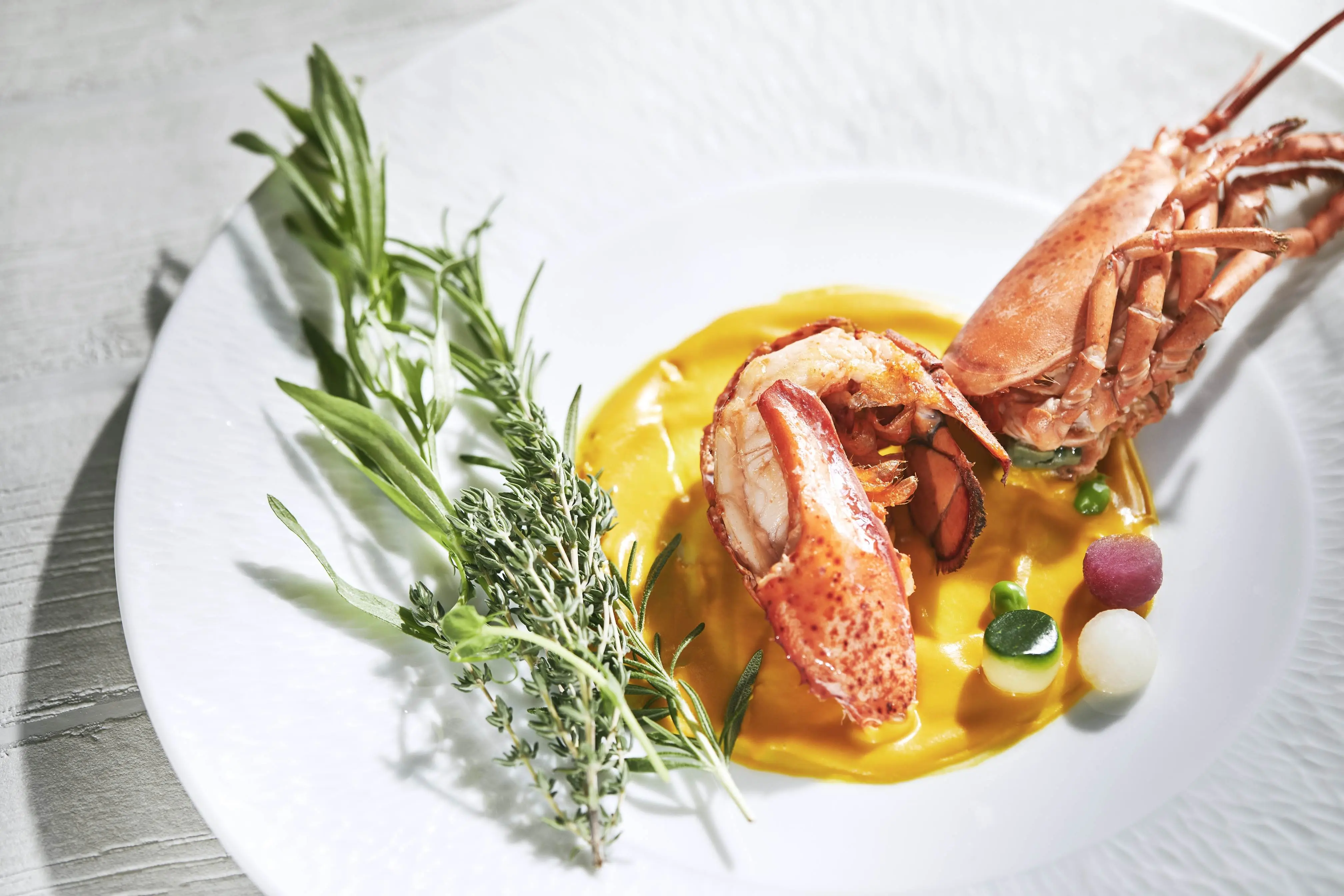 東京 アフロディテ