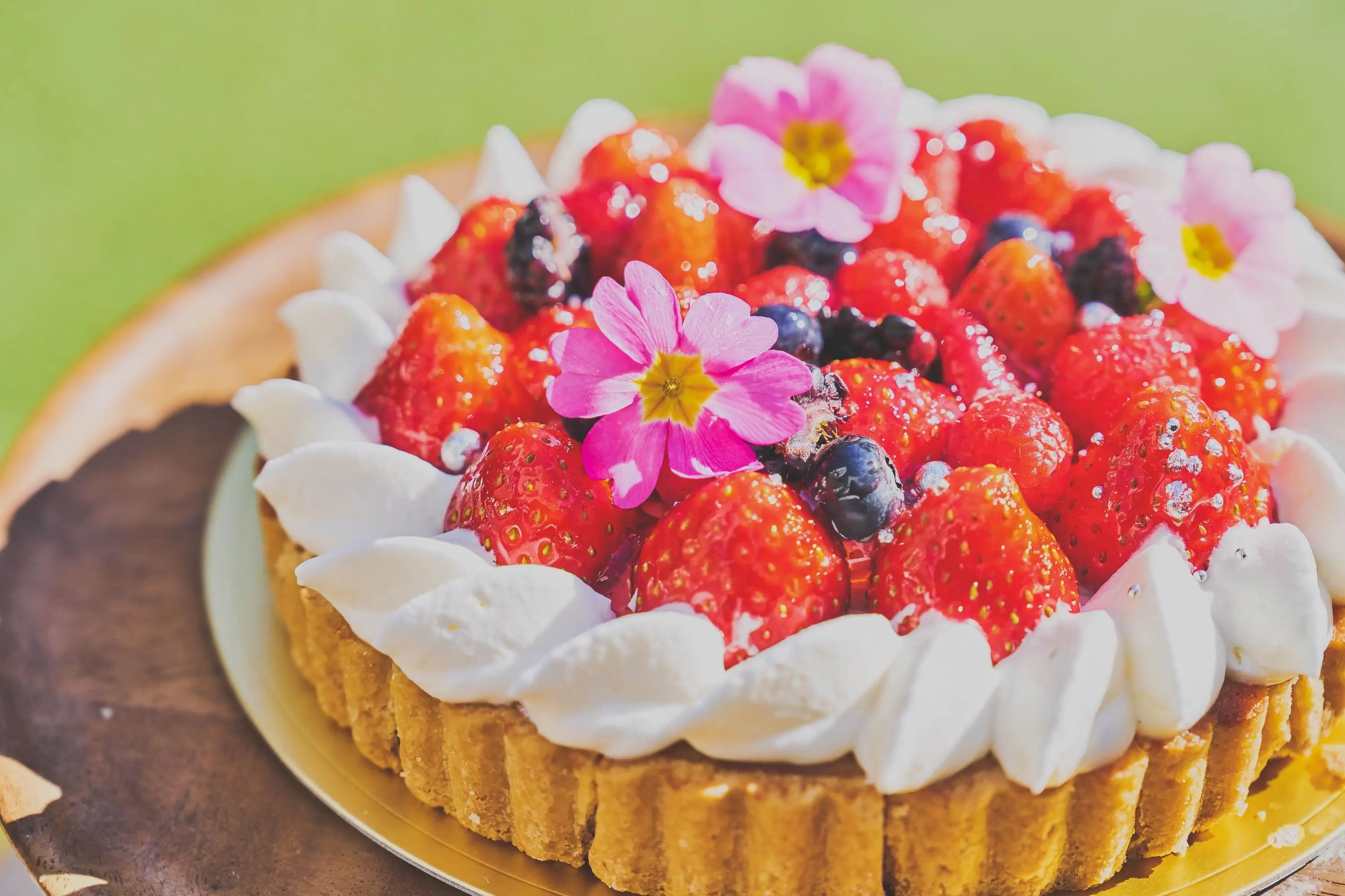 東京 アフロディテ