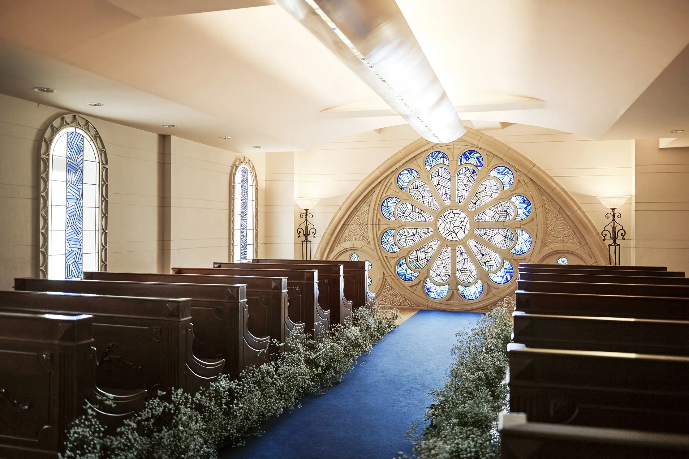 東京 アフロディテ