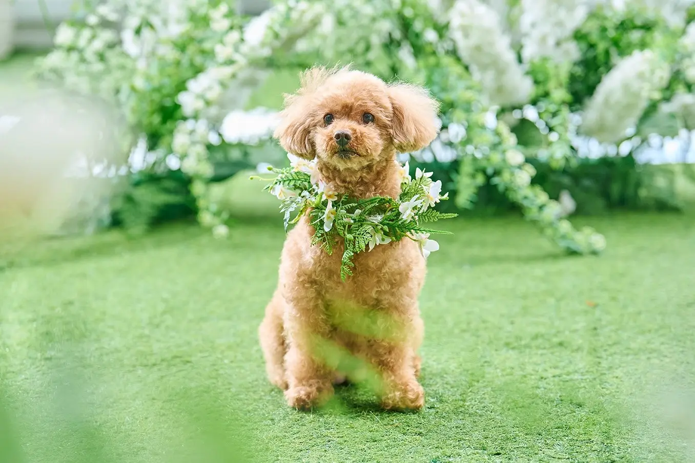 星ヶ丘迎賓館 アートグレイスクラブ