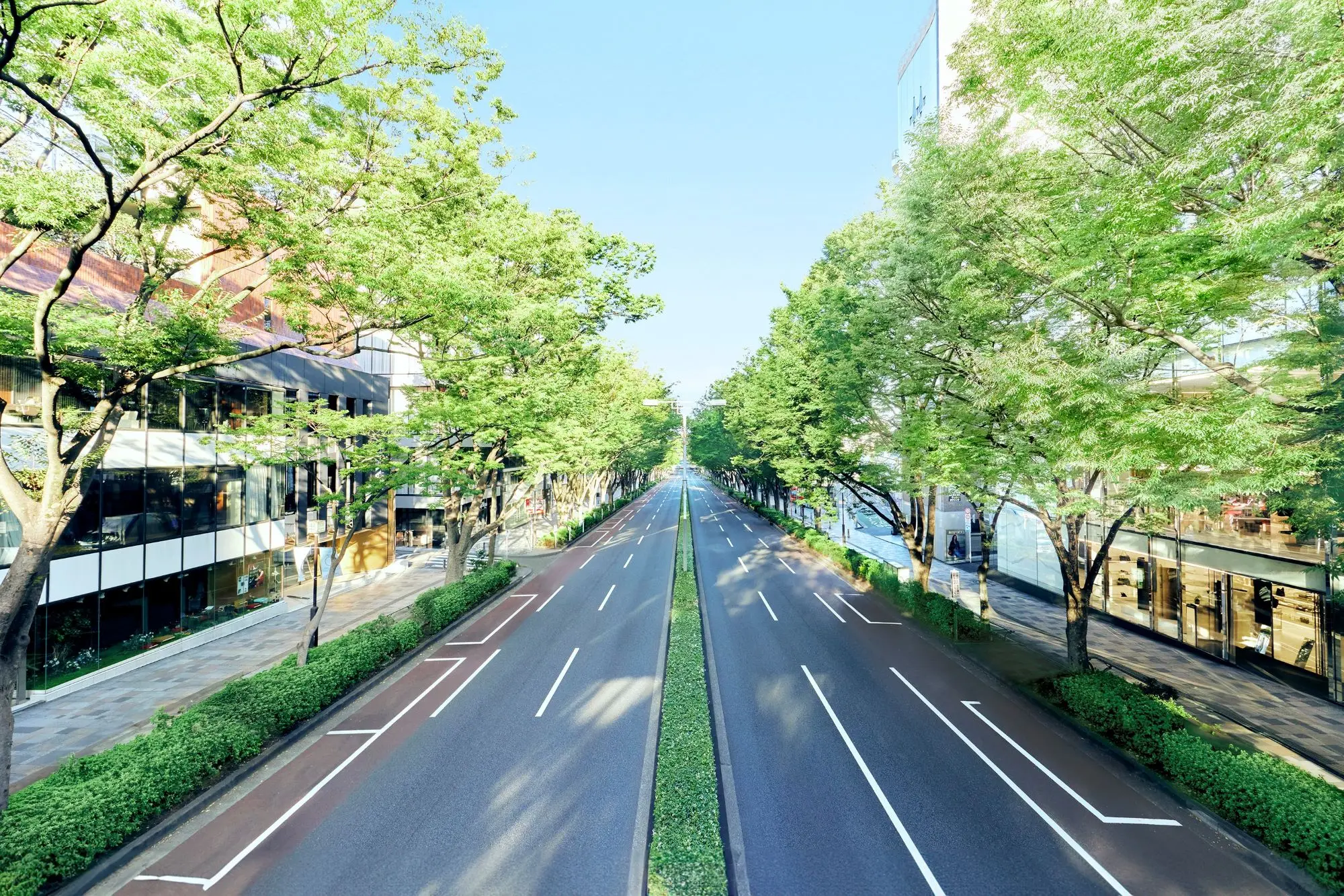 アニヴェルセル表参道